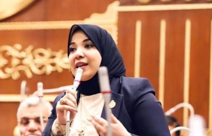 النائبة دينا هلالي النائبة دينا هلالي