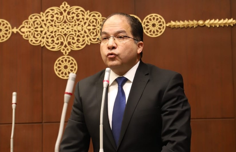 النائب عادل اللمعي