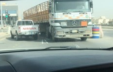 المنوفية