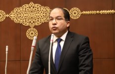 النائب عادل اللمعي