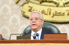  المستشار الدكتور حنفي جبالي