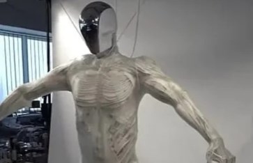 إنسان آلي عضلي 