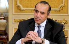 المستشار محمود فوزي