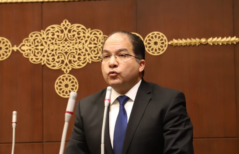 النائب عادل اللمعي، عضو مجلس الشيوخ