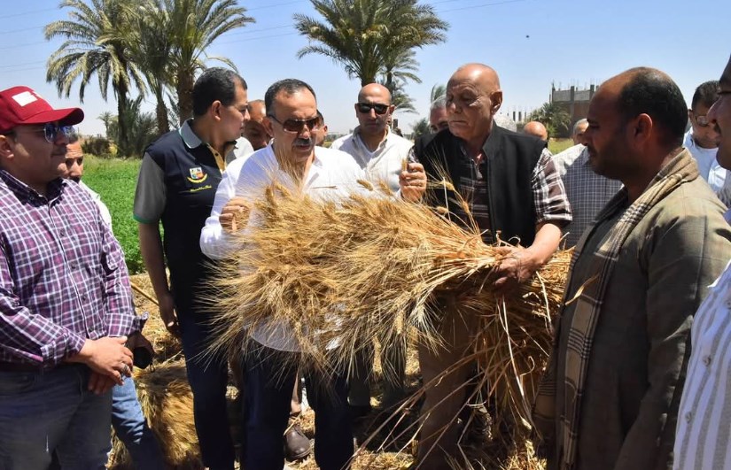محافظ أسيوط محافظ أسيوط