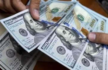 سعر الدولار