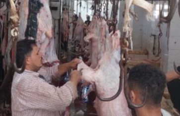صورة ارشيفية