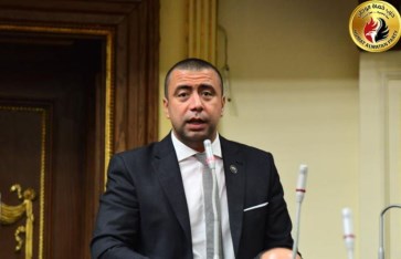 النائب أحمد بهاء شلبي