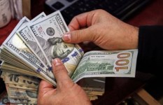 أسعار الدولار 
