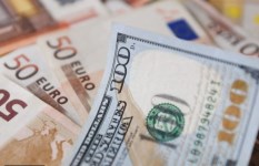 أسعار الدولار 