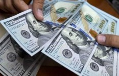 سعر الدولار