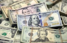 سعر الدولار 