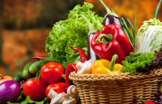 أسعار الخضار