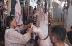 صورة ارشيفية