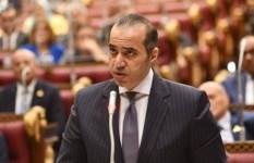 وزير الشئون النيابية 