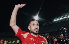 علي معلول 