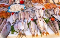  أسعار الأسماك والمأكولات البحرية 