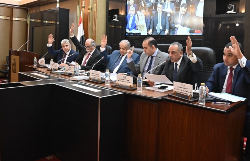الشئون الدستورية والتشريعية الشئون الدستورية والتشريعية