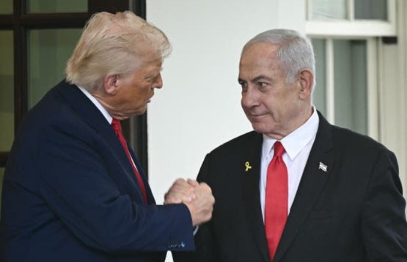 ترامب ترامب