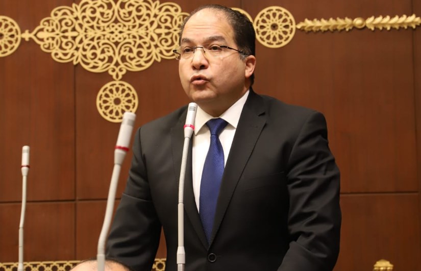 عادل اللمعي عادل اللمعي