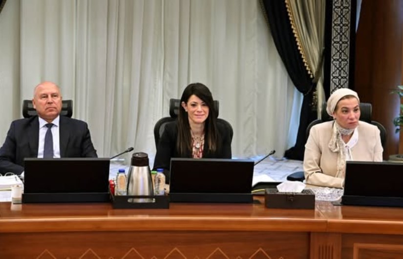 وزيرة التخطيط وزيرة التخطيط