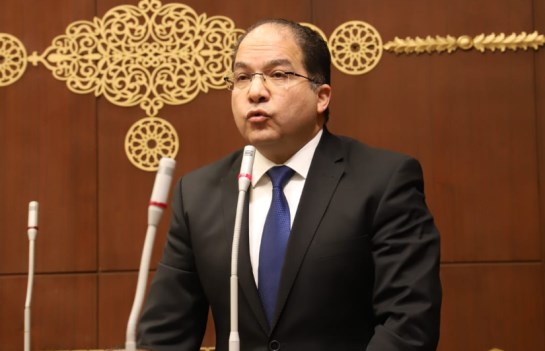 النائب عادل اللمعي 