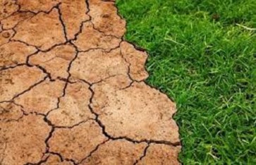 مؤشر أداء تغير المناخ