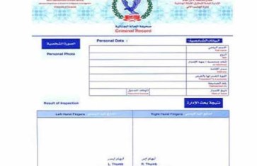 فيش وتشبيه - أرشيفية