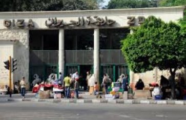 حديقة الحيوان بالجيزة 