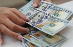 سعر الدولار