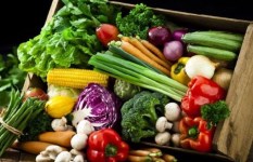 أسعار الخضروات