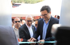 الدكتور أحمد فئاد وزير الثقافة