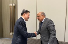 الدكتور محمود عصمت 