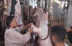 أرشيفية