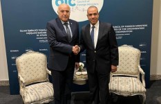 وزيرا الخارجية المصري والجزائري