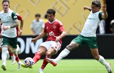 الأهلي 
