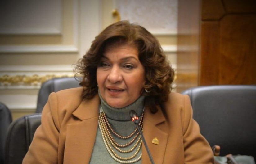 النائبة ايفلين متى ، عضو لجنة الصناعة بمجلس النواب النائبة ايفلين متى ، عضو لجنة الصناعة بمجلس النواب