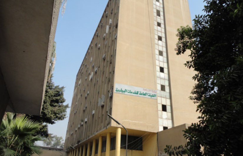 الخدمات البيطارية الخدمات البيطارية