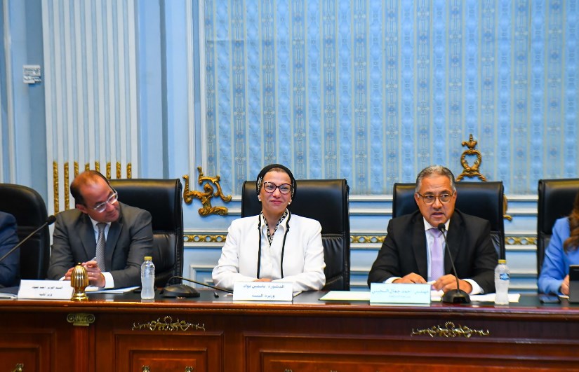 الدكتورة ياسمين فؤاد وزيرة البيئة الدكتورة ياسمين فؤاد وزيرة البيئة