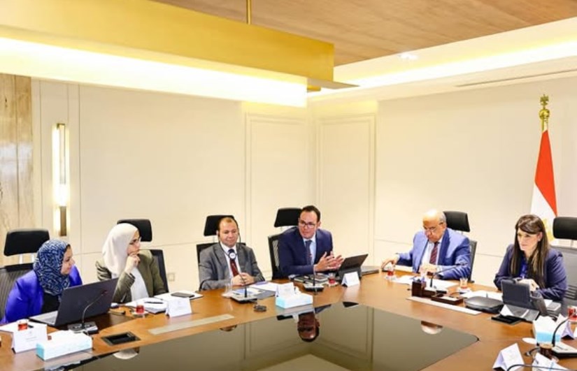 الدكتورة رانيا المشاط الدكتورة رانيا المشاط