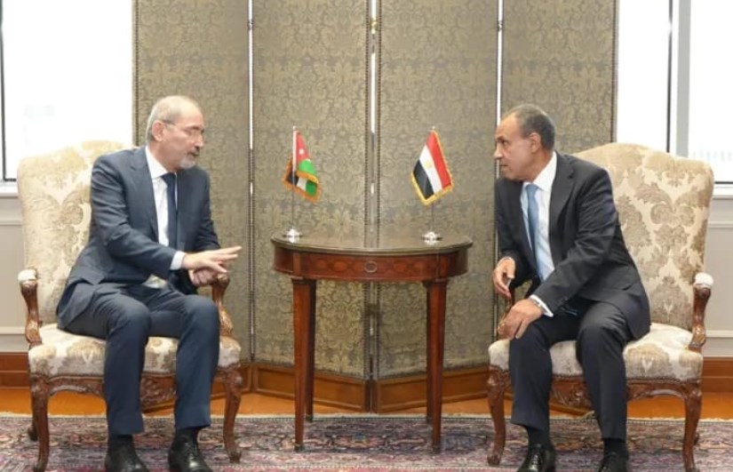 وزير الخارجية المصري وزير الخارجية المصري