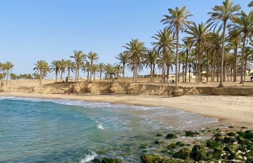 صورة ارشيفية