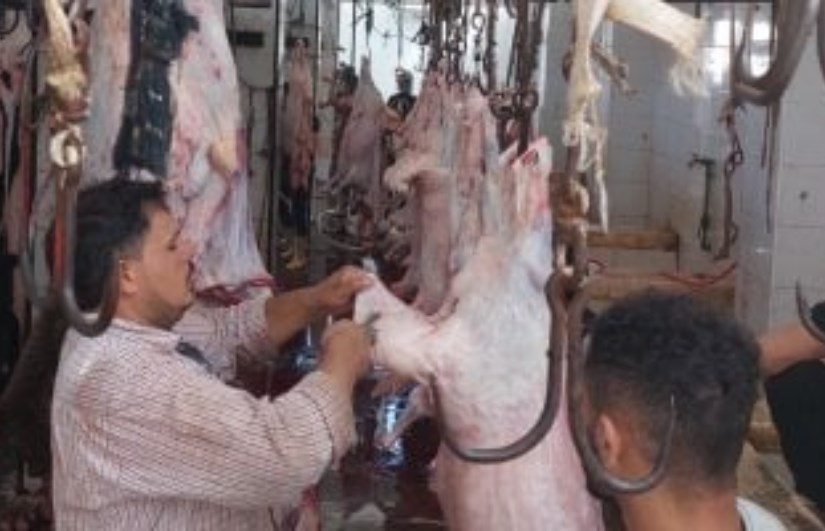 أرشيفية