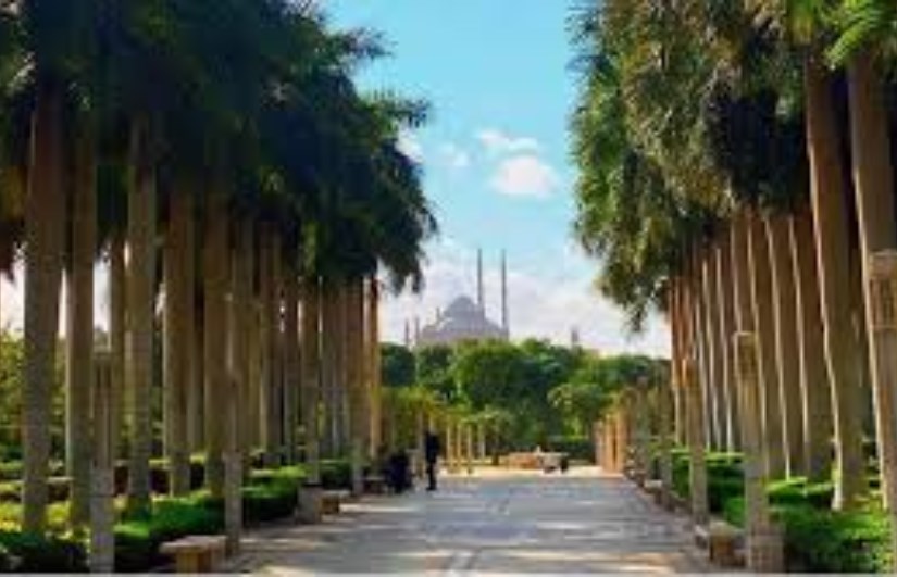 حديقة الأزهر حديقة الأزهر