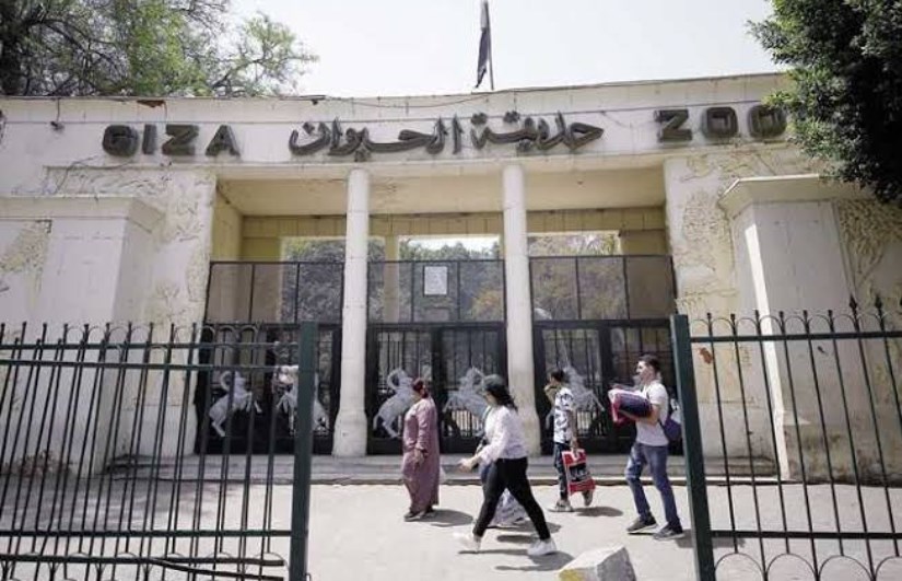 حديقة الحيوان بالجيزة حديقة الحيوان بالجيزة