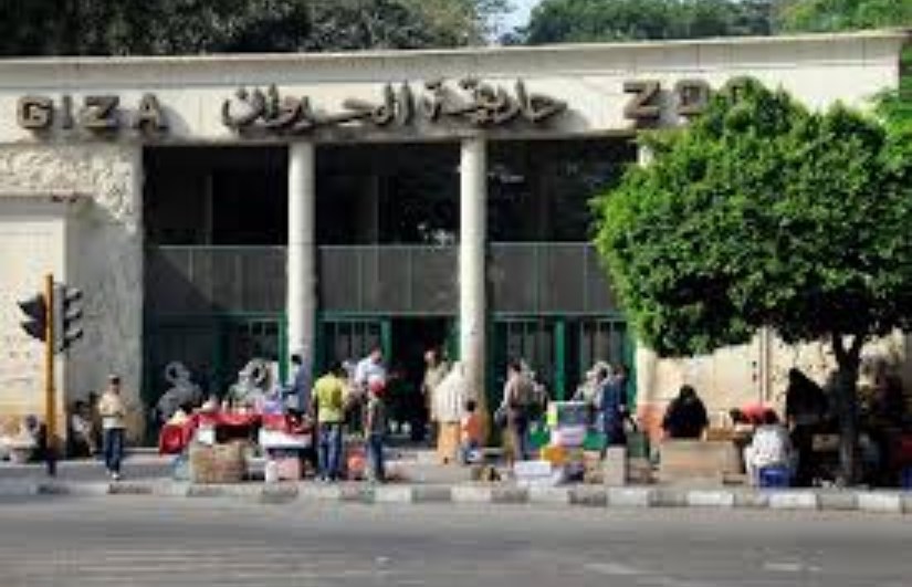 حديقة الحيوان بالجيزة حديقة الحيوان بالجيزة