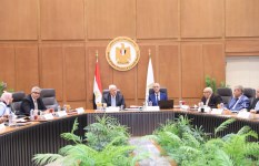 الدكتور أيمن عاشور 