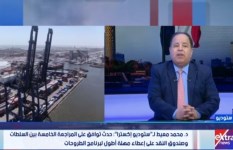 محمد معيط،