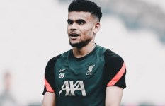 لويس دياز
