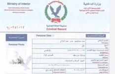 فيش جنائي
